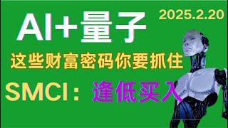 2月20日   AI+量子  时代来临，这些财富密码你知道吗？SMCI逢低买入，VKTX中长线布局，TSLA、AVGO、MSFT、META、RGTI、IONQ、QMCO、OUBT、VKTX等个股解析