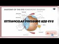 intraocular pressure iop आंख का इंट्राओकुलर दबाव