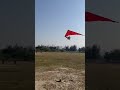 hang glider crash😮😮🛩️aircraft home made minitrike |