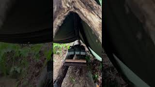 bushcraft shelter！雨をしのぎながら、新たな秘密基地を作る！