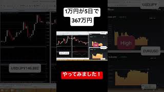 【shots】1万円が5日で367万円！直近勝率100％を記録した必勝法！一度もお金を減らさずに最高125連勝！やってみました！【バイナリーオプション】#fx #副業 #投資 #お金 #バイナリー