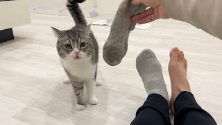 ランニング後の飼い主の靴下が臭すぎて猫がこうなりましたwww