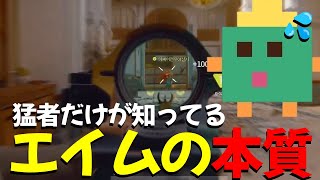 できていないとエイム弱いです【PC】【キーマウ】