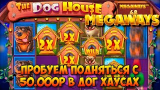 ПОДНИМАЕМСЯ С 50.000 РУБЛЕЙ В РАЗНЫХ СОБАКАХ / ЭПИЧНЫЙ КАМБЭК В DOG HOUSE MEGAWAYS / ЕСТЬ ЛИ ВЫДАЧА?