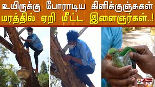 உயிருக்கு போராடிய கிளிக்குஞ்சுகள்... மரத்தில் ஏறி மீட்ட இளைஞர்கள்..!