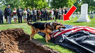 They Opened A Coffin Because Of A Dog's Bark - What They Found Inside Will Shock You!