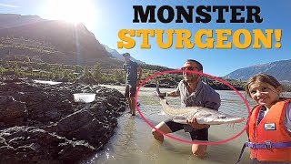 Catch, tag \u0026 release  GIANT STURGEON on Fraser River, BC, For Casey Neistat!!!