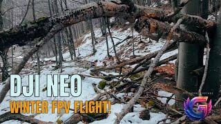 Thrilling Dji Neo Fpv Flight: Exploring Winter In Petrohan, Bulgaria!