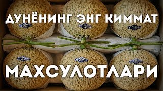 МОЛ ГУШТИ 800 ДОЛЛАР / 10 ТА ЭНГ КИММАТ МАХСУЛОТЛАР / QIZIQARLI DUNYO