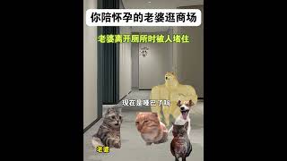 有我在，谁也不能欺负我老婆 #搞笑 #funny #cat #搞笑 #萌宠 #8bit #萌宠 #迷因 #cute