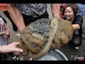 Download លោកព្រះ!!នេសាទបាន ថ្ម ចំលែក១ដុំធំ មិនដឹងជាអ្វី ពេលដឹងស្ទើរលួសព្រលឹង In Mp4 3Gp Full HD Video