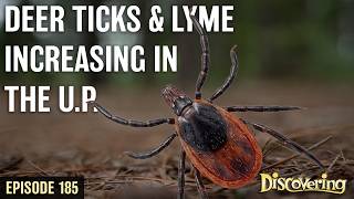 DISCOVERING | Deer Ticks & Lyme Disease (I wasn't careful and now have Lyme Disease)