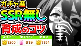 【ウマ娘】ガチャSSR無し！先行エル育成のコツ！実際の育成例ポイント解説！キャンサー杯/エルコンドルパサー育成法/賢さ/ウマ娘育成理論【NottinTV ウマ娘育成攻略 エルコンドルパサー】