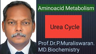 Urea Cycle #Muralis Simplified Biochemistry