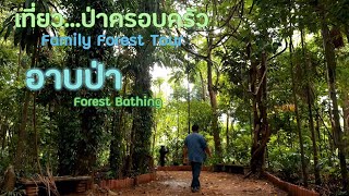 เที่ยวป่าครอบครัว : อาบป่า (Forest Bathing) [Panda Camp]