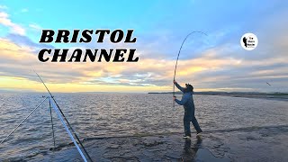 Bass & Ray Fishing, The Bristol Channel.