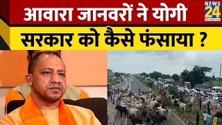 विपक्षी पार्टी Samajwadi Party के अध्यक्ष Akhilesh Yadav ने CM Yogi Adityanath को पशुओं को लेकर घेरा