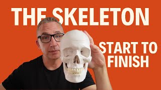 Skeletal System | Bones, Articulation, Growth & Development (FULL LECTURE)