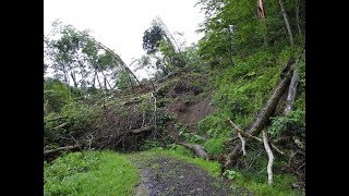 【中穂別林道-炭鉱厚真川林道】北海道勇払郡むかわ町～勇払郡厚真町(2019.08.10)