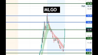 #MLGO 🔥 insane 288% move! $20-$25 tomorrow or drop back to 5? $MLGO