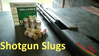 Shotgun Slugs: Using the Bead #rangetime