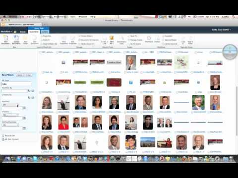 Asset Library Overview Youtube