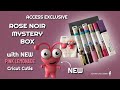 CRICUT ROSE NOIR MYSTERY BOX... with NEW Cricut Cutie