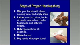 Clean Hands Prevent Cold and Flu - What you need to know to protect yourself through good hygiene!