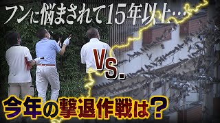 【ムクドリの大群vs.市職員】駅前の道は\