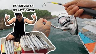 Barracuda Spot Ternate Cavite (HARVEST)