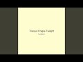 Tranquil Fragile Twilight