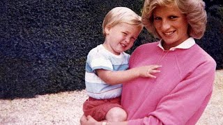 Princess Diana: 'Her legacy are William and Harry'