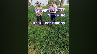 सीकर के किस की कहानी || बहुत अधिक मात्रा में होगा ||