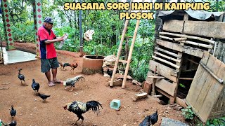 AKTIFITAS SORE HARI DI KAMPUNG BARENG BAPAK