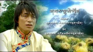 Tibetan song”གངས་ལྷ་མེ་ཏོག”by Kunga tenzin ཀུན་དགའ་བསྟན་འཛིན