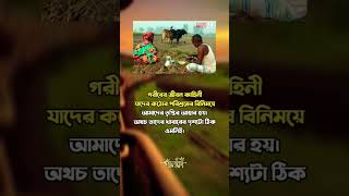 কৃষকের মূল্য আমরা কখনোই দেই না। #viral #video #status #subscribe