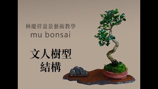 夏∣文人樹型結構 ◤林慶祥盆景藝術教學◢ Bonsai in Taiwan / Shore Eurya