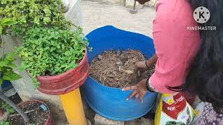 ದೊಡ್ಡ pots ಯಾವ ರೀತಿ ತುಂಬಬೇಕು ll  ನಾನು ಮಾಡುವ ವಿಧಾನ ಒಮ್ಮೆ ನೋಡಿ