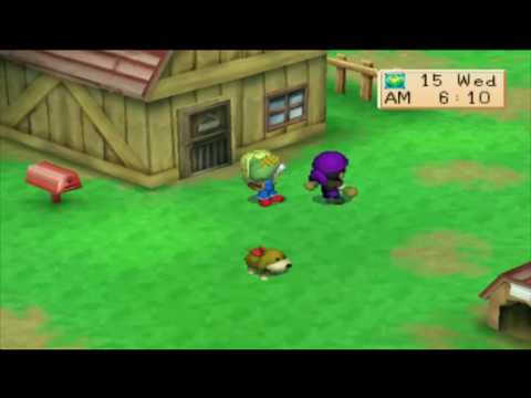 Harvest Moon Back to Nature Girl - Kai the Corn-Buyer Harvest Moon Back to Nature Girl - Kai the Corn-Buyer