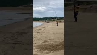 Shark caught on uShaka marine