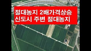 이런 절대농지가 2배이상 상승했습니다.