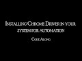 #2 - How to install Chrome Driver for python automation | Step by Step | Do Along