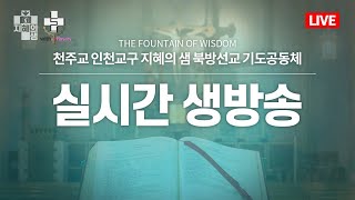 2월 10일 목요일 성녀 스콜라스티카 동정 기념일 | 천주교 인천교구 지혜의 샘 실시간 생방송