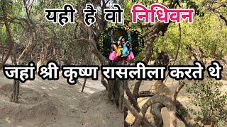 Nidhivan Ke Darshan | निधिवन वृंदावन मथुरा | Nidhivan Ka Rahasya | Shrevansh Official