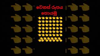 හා පැටියෝ කොහොමද