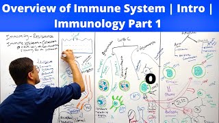 Overview of Immune System | Intro | Immunology Part 1 | Subash Acharya