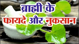 ब्राह्मी के फायदे और नुकसान | Brahmi Ke Fayde | Brahmi Benefits