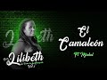 El Camaleón [Audio Oficial] - Lilibeth ft Michel