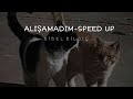 sibel bilgiç alışamadım speed up