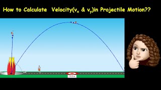 How to calculate Velocity for projectile motion_ HSC Physics(using PHET Simulation)
